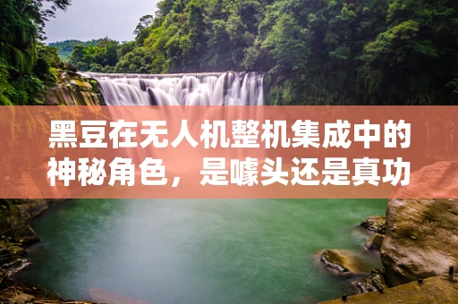 黑豆在无人机整机集成中的神秘角色，是噱头还是真功夫？