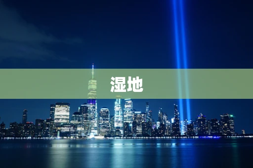 湿地
