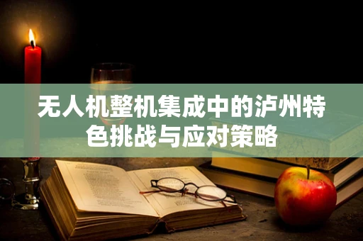 无人机整机集成中的泸州特色挑战与应对策略