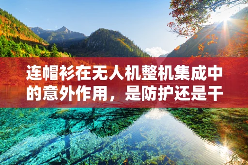 连帽衫在无人机整机集成中的意外作用，是防护还是干扰？