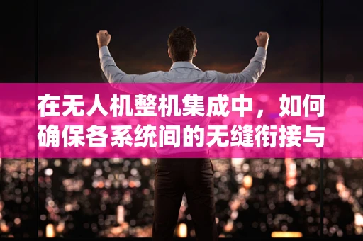 在无人机整机集成中，如何确保各系统间的无缝衔接与顾问的决策支持？