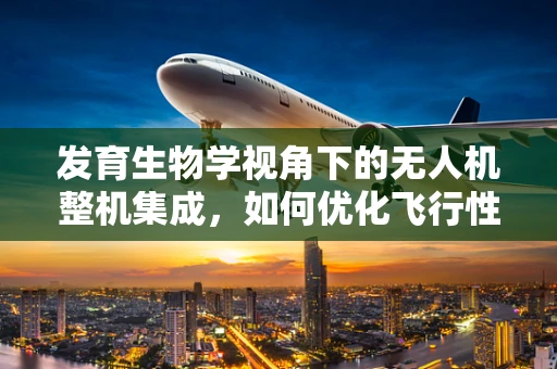 发育生物学视角下的无人机整机集成，如何优化飞行性能与生物启发的设计？