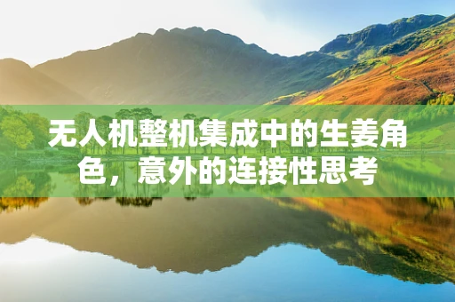 无人机整机集成中的生姜角色，意外的连接性思考