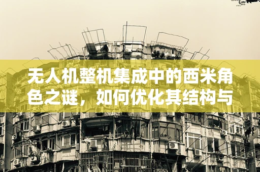 无人机整机集成中的西米角色之谜，如何优化其结构与性能的平衡？