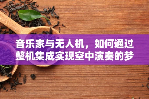 音乐家与无人机，如何通过整机集成实现空中演奏的梦想？