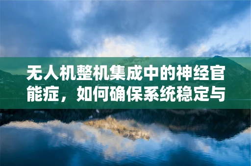 无人机整机集成中的神经官能症，如何确保系统稳定与用户心理健康的双重保障？