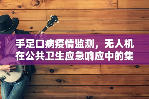 手足口病疫情监测，无人机在公共卫生应急响应中的集成挑战