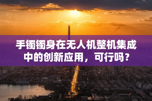 手镯镯身在无人机整机集成中的创新应用，可行吗？