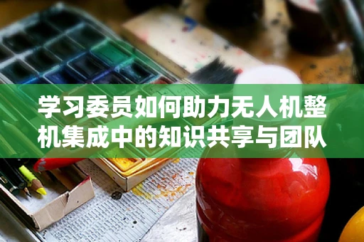 学习委员如何助力无人机整机集成中的知识共享与团队协作？