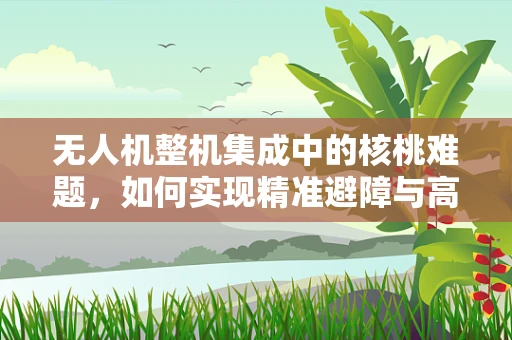 无人机整机集成中的核桃难题，如何实现精准避障与高效载荷？