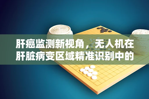 肝癌监测新视角，无人机在肝脏病变区域精准识别中的应用挑战