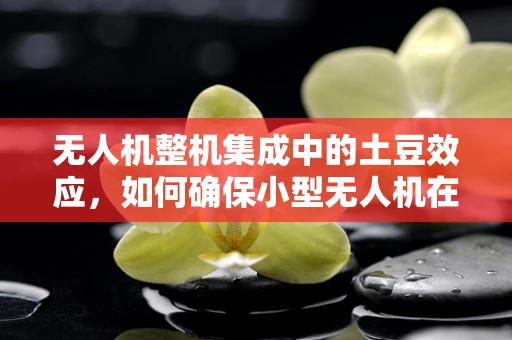 无人机整机集成中的土豆效应，如何确保小型无人机在复杂环境下的稳定飞行？