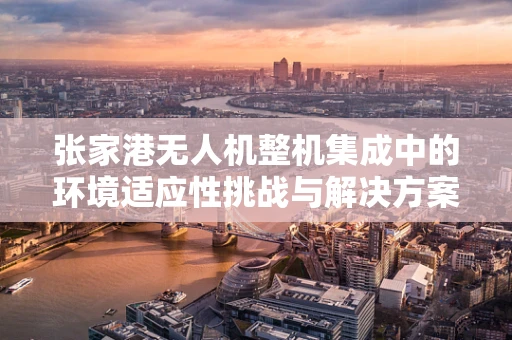张家港无人机整机集成中的环境适应性挑战与解决方案