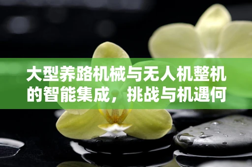 大型养路机械与无人机整机的智能集成，挑战与机遇何在？