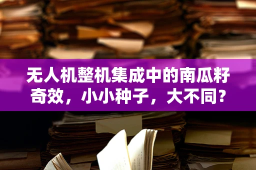 无人机整机集成中的南瓜籽奇效，小小种子，大不同？