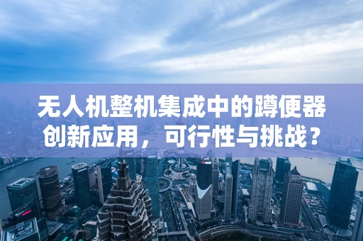 无人机整机集成中的蹲便器创新应用，可行性与挑战？