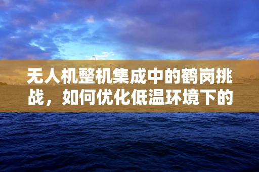 无人机整机集成中的鹤岗挑战，如何优化低温环境下的飞行稳定性？