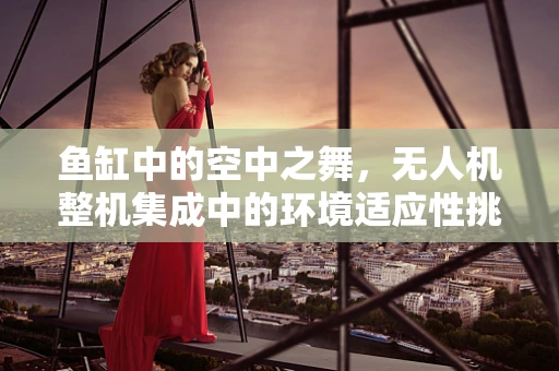 鱼缸中的空中之舞，无人机整机集成中的环境适应性挑战