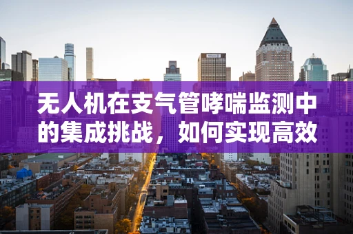 无人机在支气管哮喘监测中的集成挑战，如何实现高效、无干扰的空中监测？