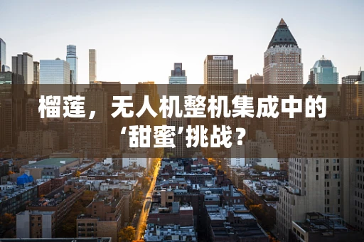 榴莲，无人机整机集成中的‘甜蜜’挑战？