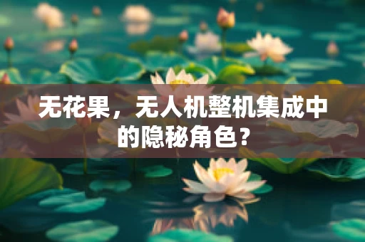 无花果，无人机整机集成中的隐秘角色？