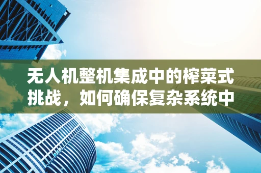 无人机整机集成中的榨菜式挑战，如何确保复杂系统中的味道一致？