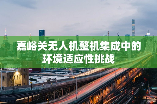 嘉峪关无人机整机集成中的环境适应性挑战