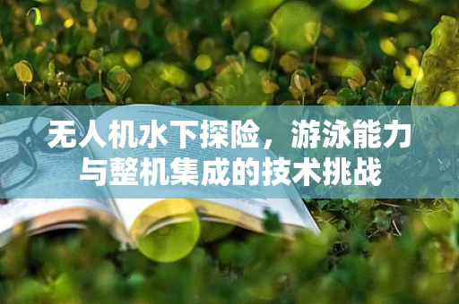 无人机水下探险，游泳能力与整机集成的技术挑战