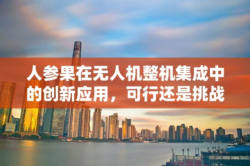 人参果在无人机整机集成中的创新应用，可行还是挑战？