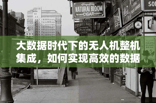 大数据时代下的无人机整机集成，如何实现高效的数据处理与整合？