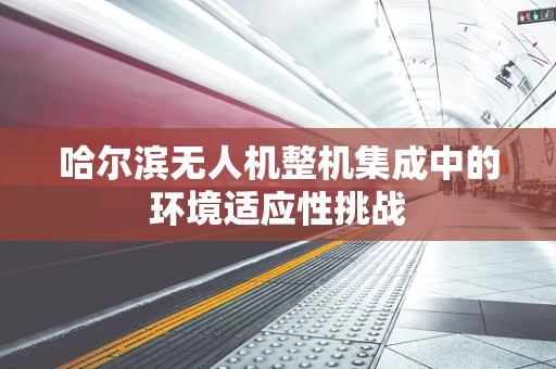 哈尔滨无人机整机集成中的环境适应性挑战