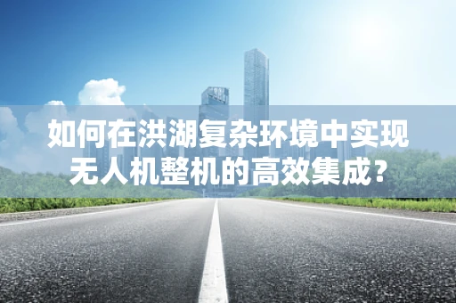 如何在洪湖复杂环境中实现无人机整机的高效集成？