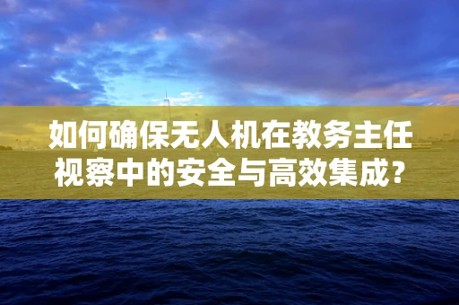 如何确保无人机在教务主任视察中的安全与高效集成？