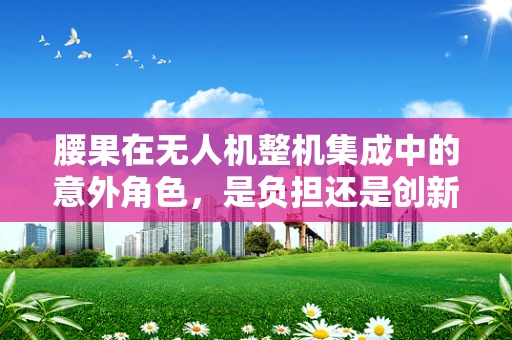 腰果在无人机整机集成中的意外角色，是负担还是创新助力？