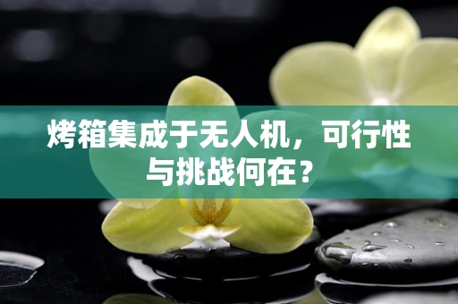 烤箱集成于无人机，可行性与挑战何在？