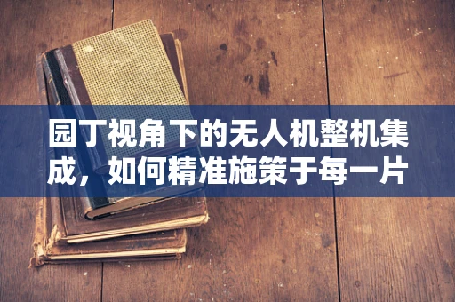 园丁视角下的无人机整机集成，如何精准施策于每一片叶子？