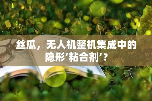 丝瓜，无人机整机集成中的隐形‘粘合剂’？