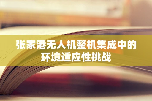 张家港无人机整机集成中的环境适应性挑战