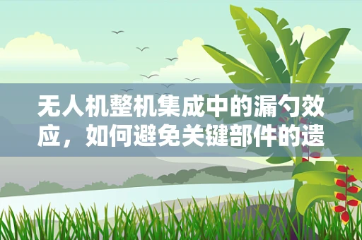 无人机整机集成中的漏勺效应，如何避免关键部件的遗漏？