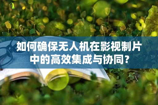 如何确保无人机在影视制片中的高效集成与协同？
