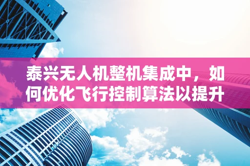泰兴无人机整机集成中，如何优化飞行控制算法以提升稳定性？