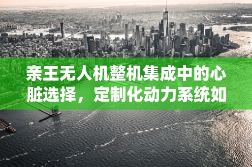 亲王无人机整机集成中的心脏选择，定制化动力系统如何匹配最佳？