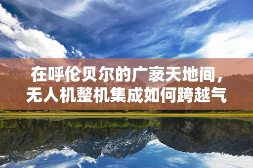 在呼伦贝尔的广袤天地间，无人机整机集成如何跨越气候挑战？