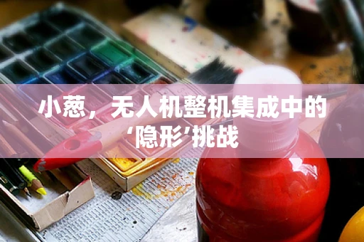 小葱，无人机整机集成中的‘隐形’挑战