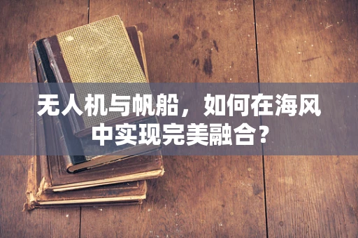 无人机与帆船，如何在海风中实现完美融合？