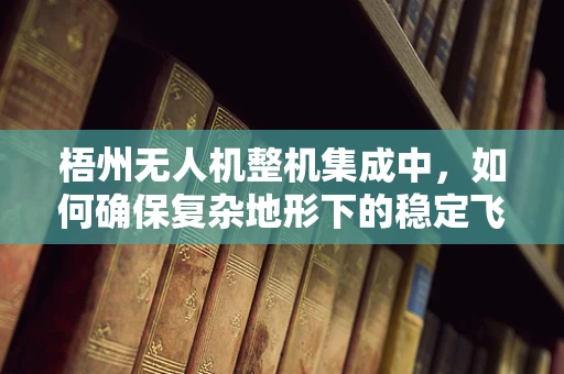 梧州无人机整机集成中，如何确保复杂地形下的稳定飞行？