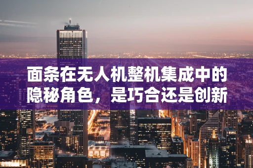 面条在无人机整机集成中的隐秘角色，是巧合还是创新之选？