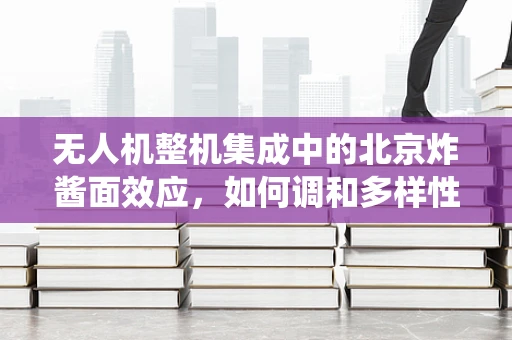 无人机整机集成中的北京炸酱面效应，如何调和多样性与统一性？