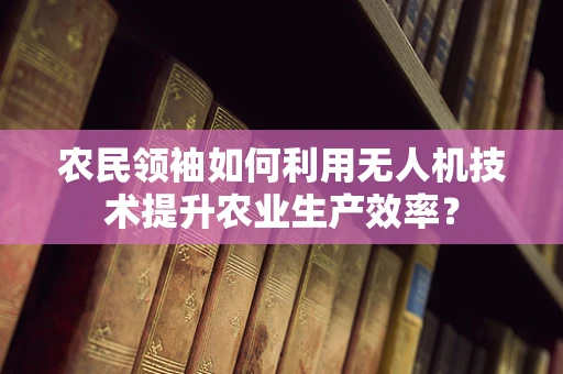 农民领袖如何利用无人机技术提升农业生产效率？