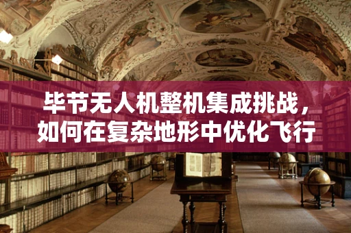 毕节无人机整机集成挑战，如何在复杂地形中优化飞行稳定性？